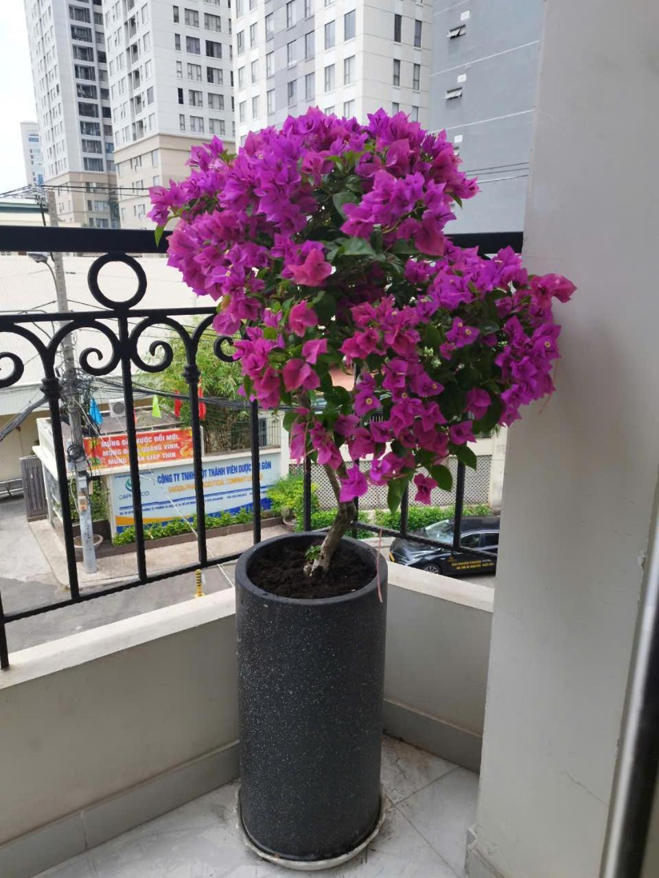 7 Apartment Ho Chi Minh-staden Exteriör bild